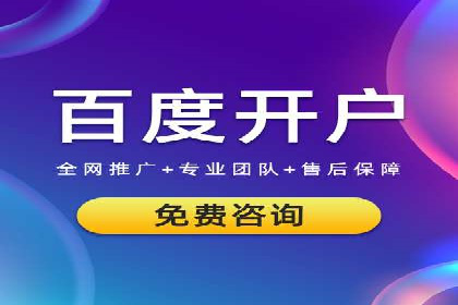 百度竞价广告投放全解析：成功案例揭秘